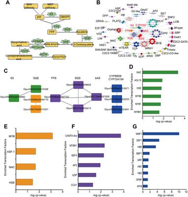 GURFAP: A Platform for Gene Function Analysis in <mark class="highlighted">Glycyrrhiza Uralensis</mark>